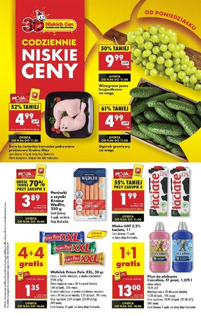 biedronka gazetka promocyjna od 09 czerwca