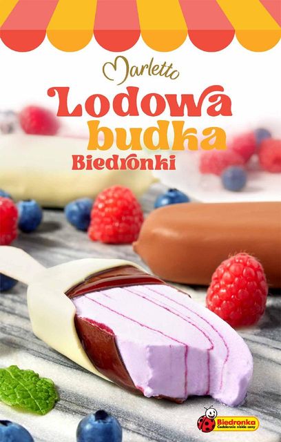 biedronka gazetka promocyjna od 14 czerwca
