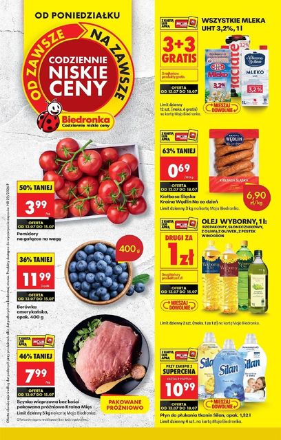 biedronka gazetka promocyjna od 13 lipca
